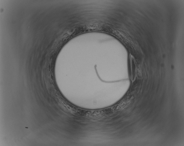 X0000072940817200608181339