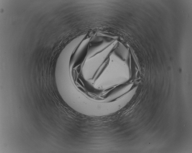 X0000072940818200608181339