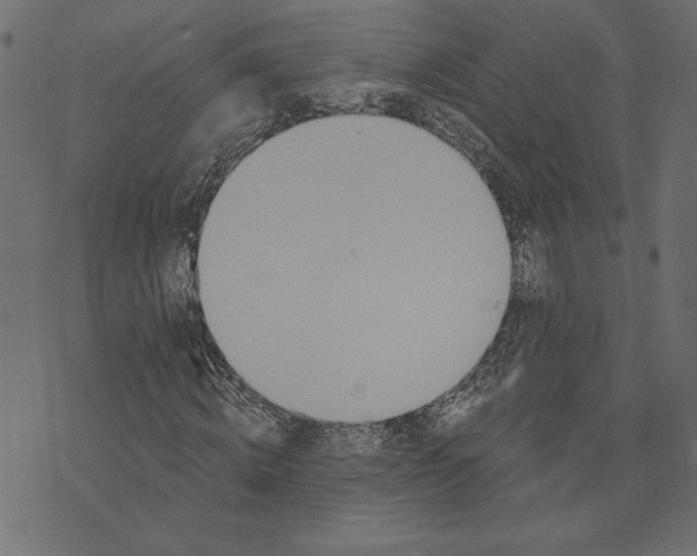 X0000072940820200608181339