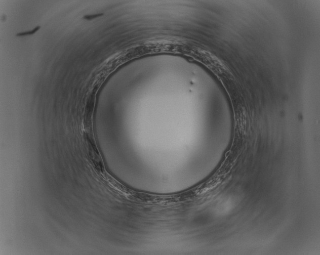 X0000072940821200608181339