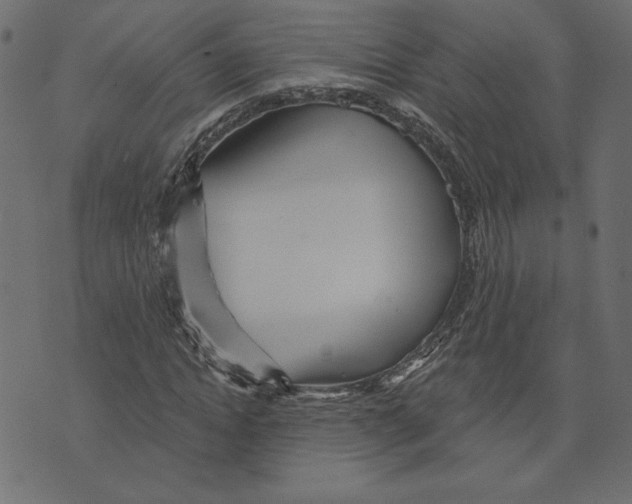 X0000072940822200608181339