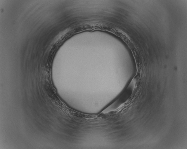 X0000072940823200608181339