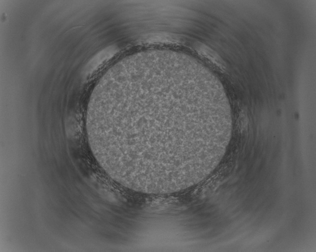 X0000072940824200608181339