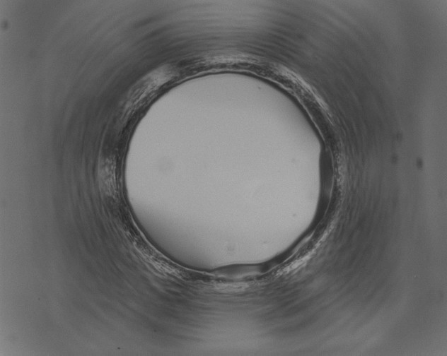 X0000072940825200608181339