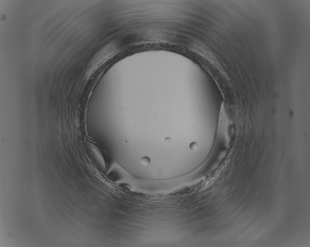 X0000072940826200608181339