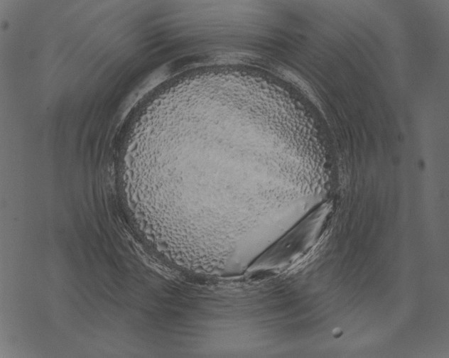 X0000072940827200608181339