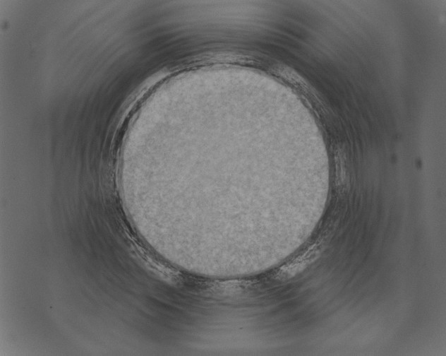 X0000072940828200608181339