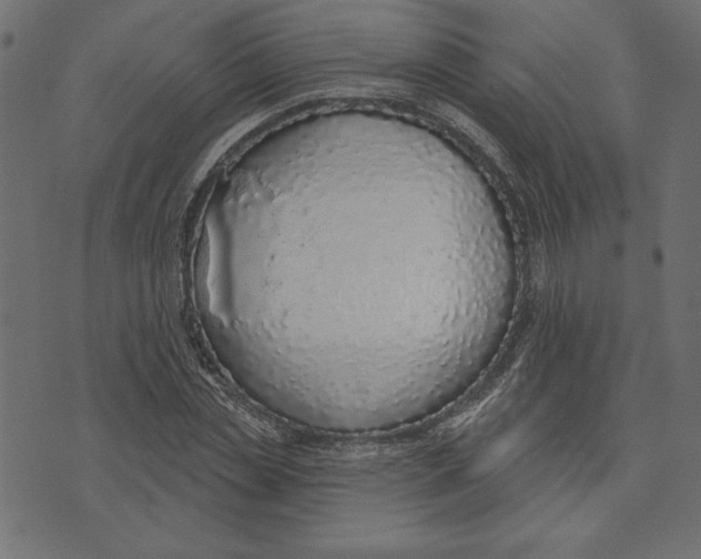 X0000072940829200608181339