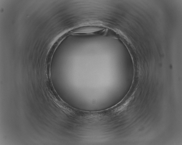 X0000072940830200608181339