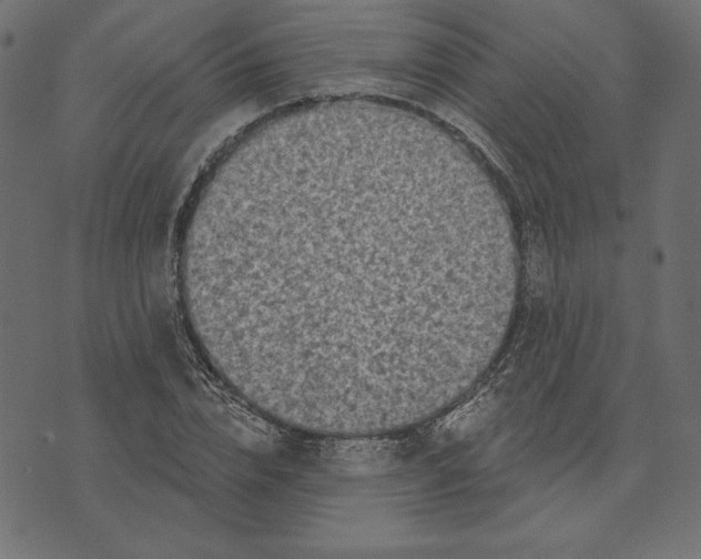 X0000072940832200608181339