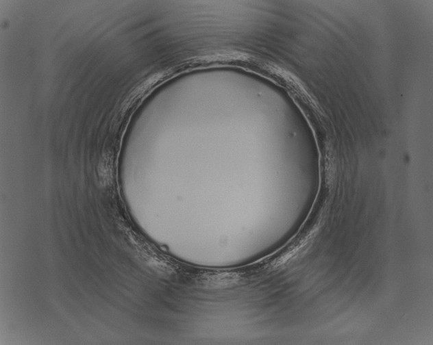 X0000072940833200608181339