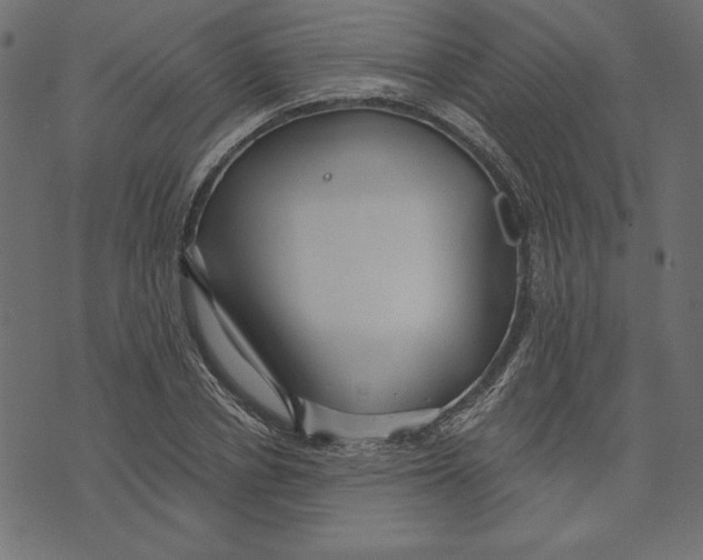 X0000072940834200608181339