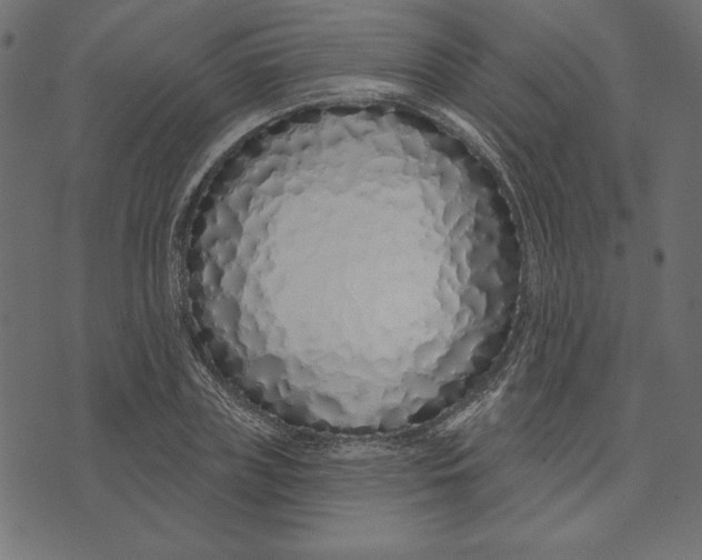 X0000072940835200608181339