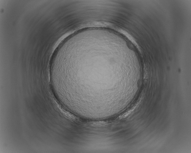 X0000072940837200608181339