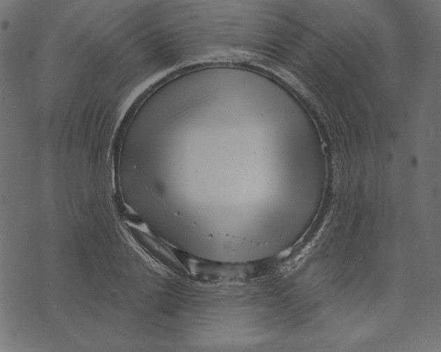 X0000072940838200608181339