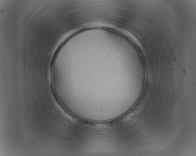 X0000072940839200608181339