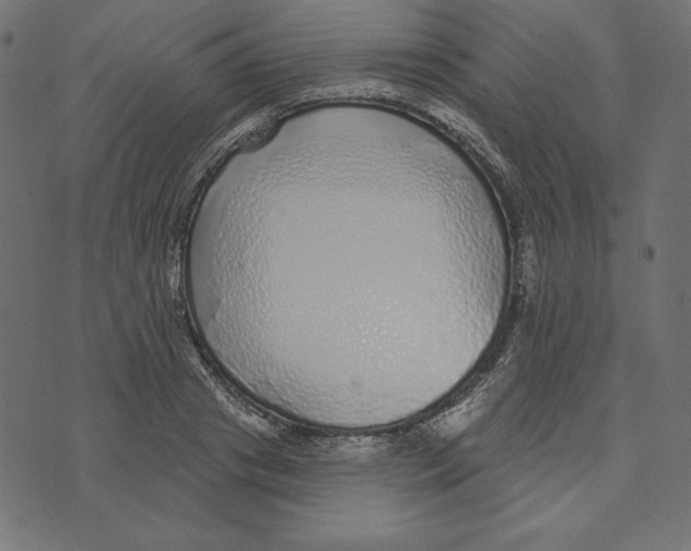 X0000072940841200608181339