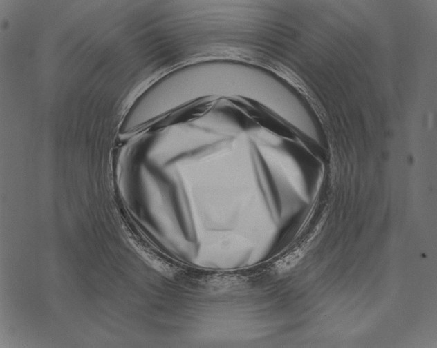 X0000072940842200608181339