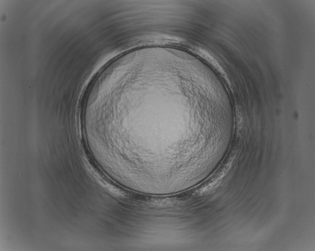 X0000072940843200608181339