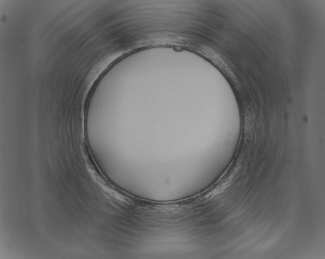 X0000072940844200608181339