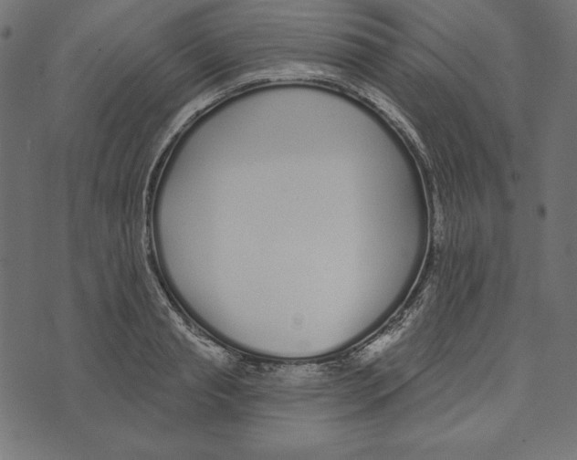 X0000072940845200608181339