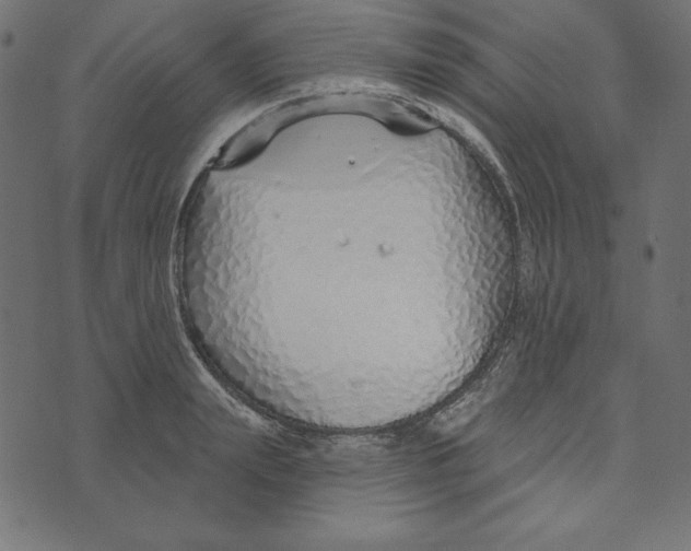 X0000072940847200608181339