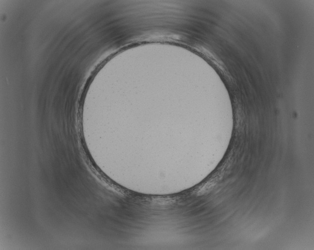 X0000072940848200608181339