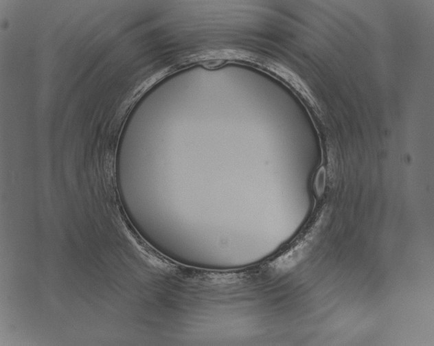 X0000072940849200608181339