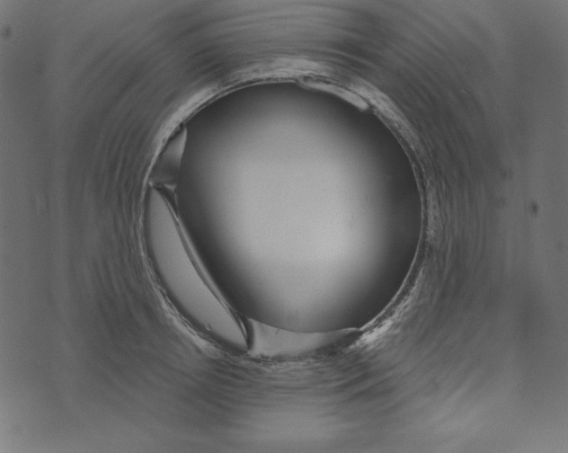 X0000072940850200608181339