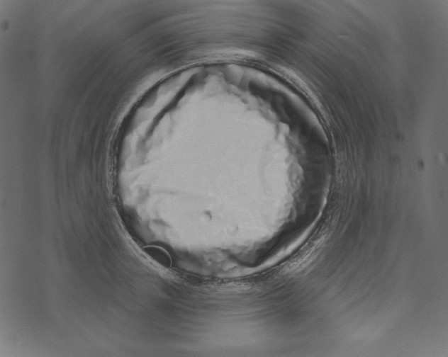 X0000072940851200608181339