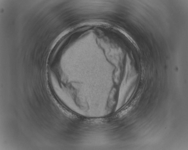 X0000072940853200608181339