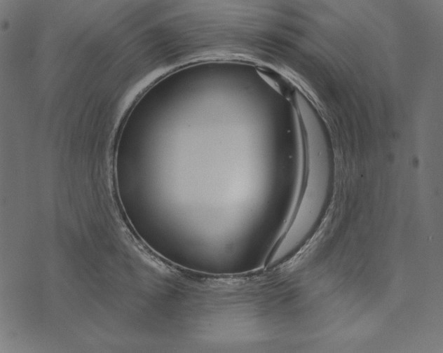 X0000072940854200608181339