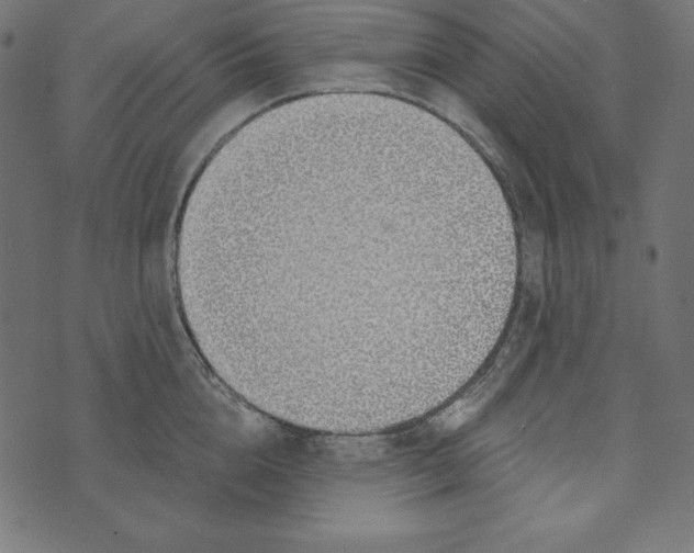 X0000072940856200608181339