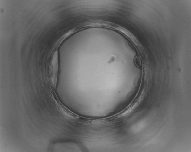 X0000072940857200608181339