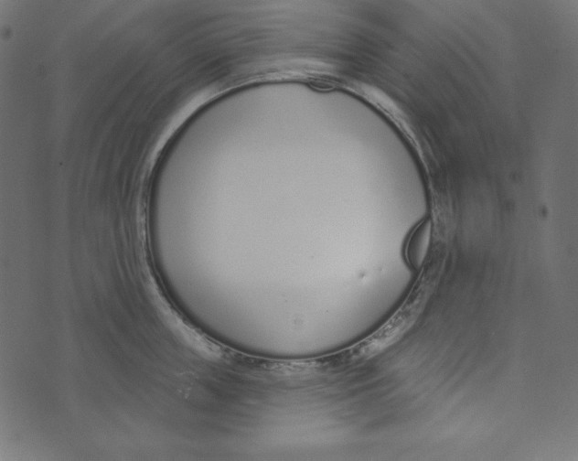 X0000072940859200608181339