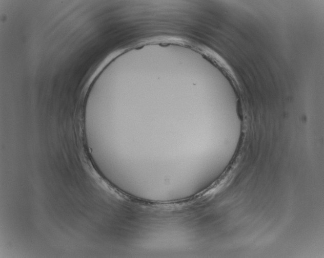 X0000072940860200608181339