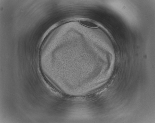 X0000072940861200608181339