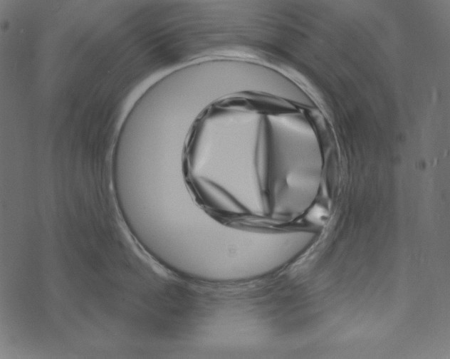 X0000072940862200608181339