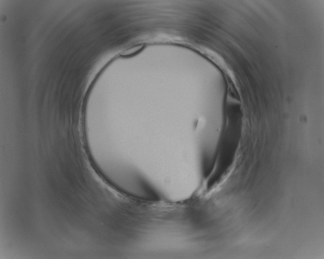 X0000072940863200608181339