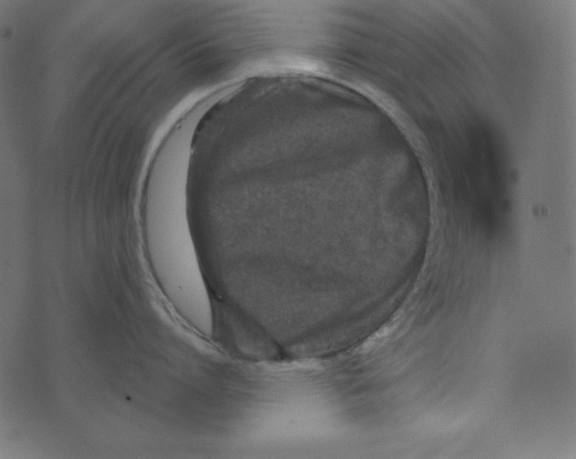 X0000072940864200608181339