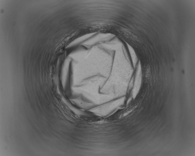 X0000072940868200608181338