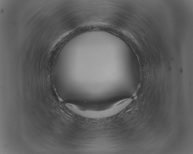 X0000072940872200608181338