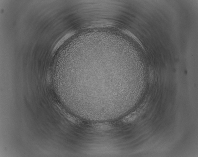 X0000072940874200608181338