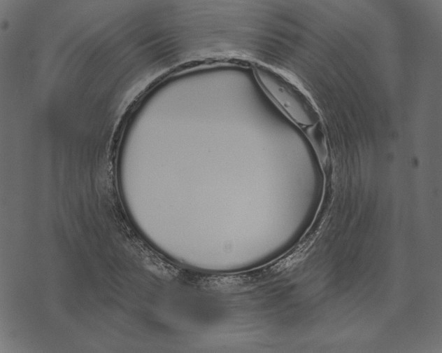 X0000072940879200608181338