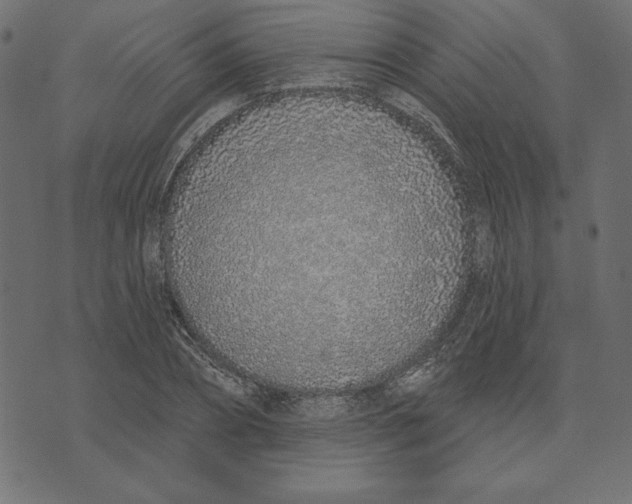 X0000072940882200608181338