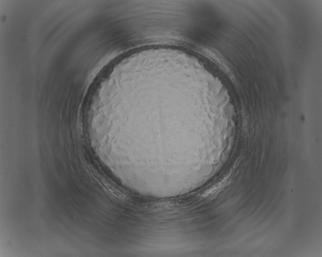 X0000072940883200608181338