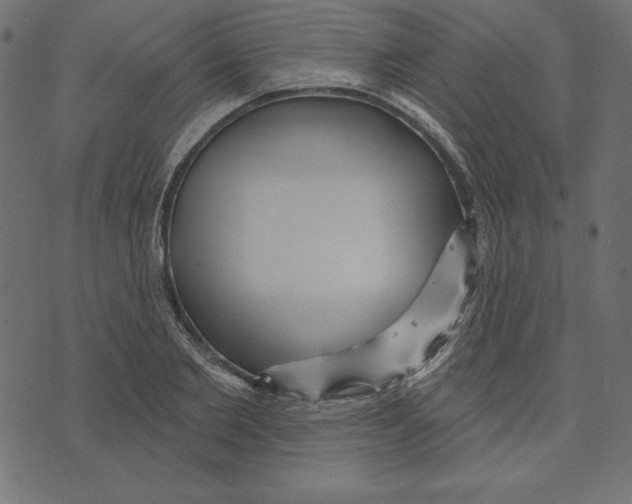 X0000072940885200608181338