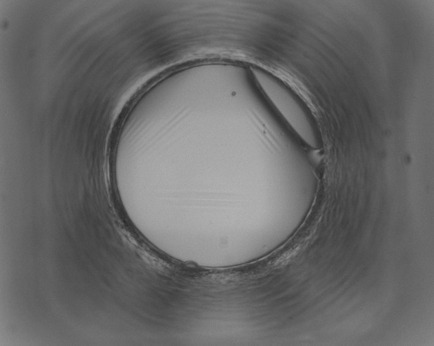 X0000072940888200608181338