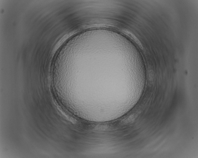 X0000072940890200608181338