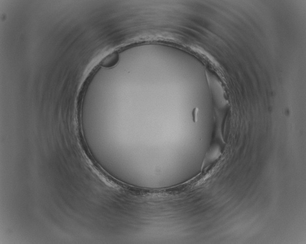 X0000072940894200608181338